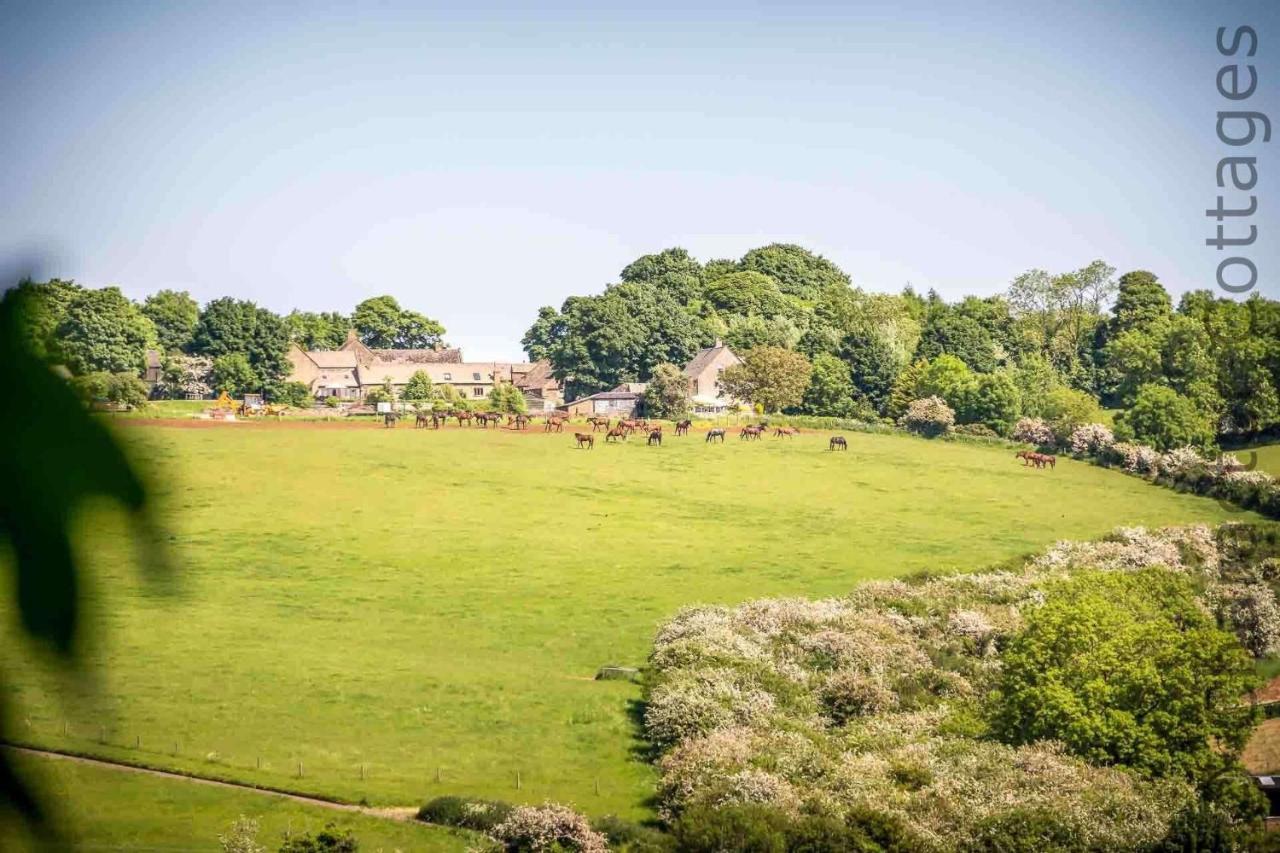 Dove Cottage Naunton Dış mekan fotoğraf